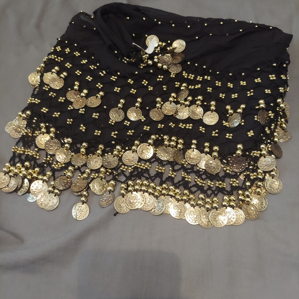 Belly dancing skirt